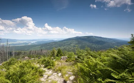 Národní park Šumava